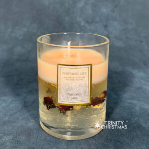 X-Mas Premium Aromatherapy Scented Gel Candles – Orange